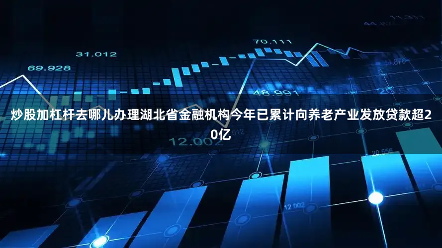 炒股加杠杆去哪儿办理湖北省金融机构今年已累计向养老产业发放贷款超20亿