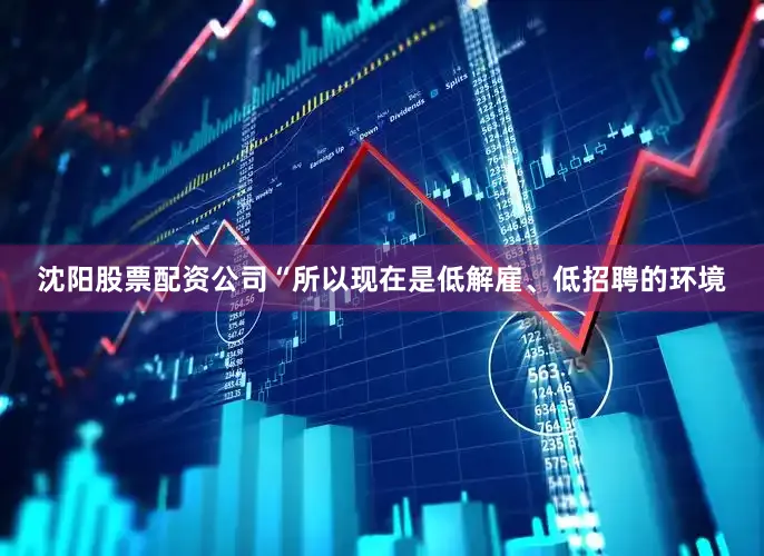 沈阳股票配资公司“所以现在是低解雇、低招聘的环境