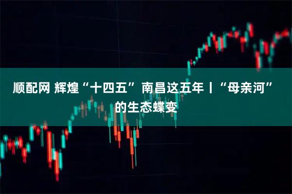 顺配网 辉煌“十四五” 南昌这五年丨“母亲河” 的生态蝶变
