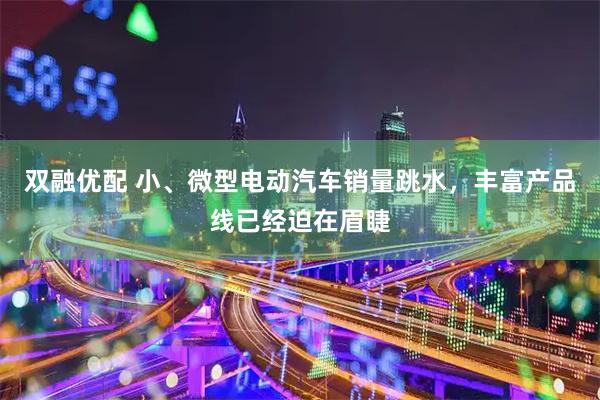 双融优配 小、微型电动汽车销量跳水，丰富产品线已经迫在眉睫
