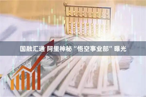 国融汇通 阿里神秘“悟空事业部”曝光