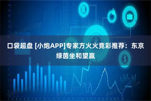 口袋超盘 [小炮APP]专家方火火竞彩推荐：东京绿茵坐和望赢