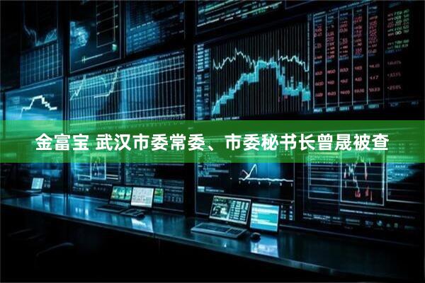 金富宝 武汉市委常委、市委秘书长曾晟被查
